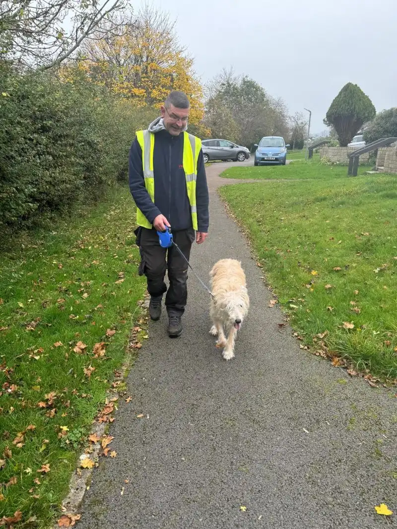 Dog Walking
